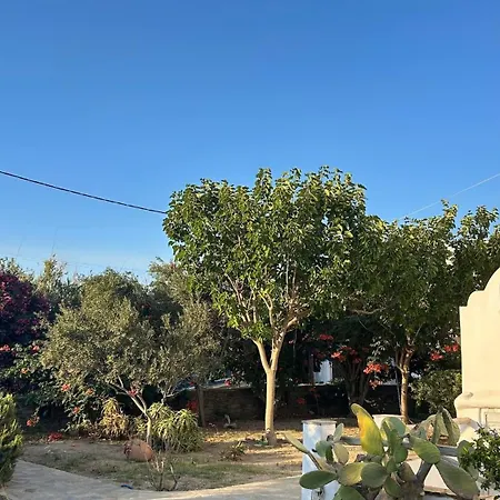 Blue House Naxos Appartement *